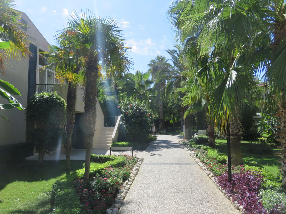 imagini hotel PALOMA OCEANA